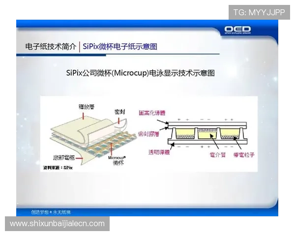 AG真人公司在行业中的创新技术应用与合规运营措施对用户体验的积极影响