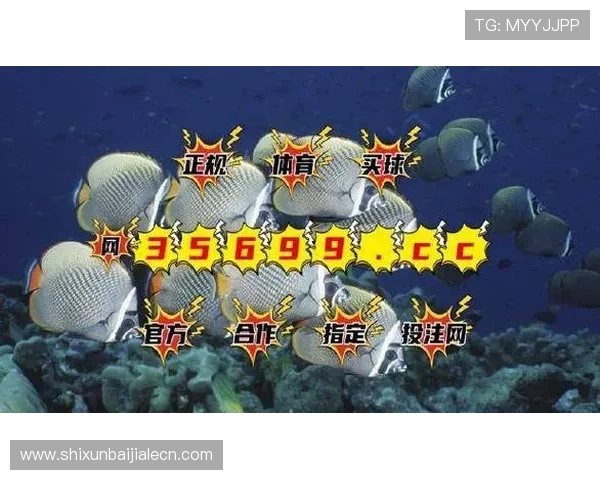 BG视讯官网最新优惠活动与返水政策全面解析帮助玩家实现最大化收益与娱乐体验