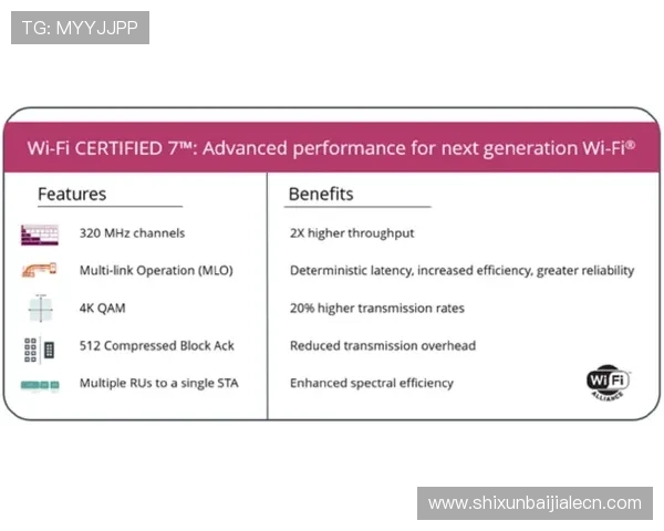 利来ag旗舰厅官网支持多种支付方式，快速存取款流程让你畅享无忧游戏体验与高效资金管理