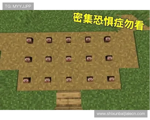 优质百家乐游戏apk合集,丰富玩法满足不同玩家的需求